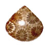 Fossil Coral Cabochons, Gemstone Cabochons