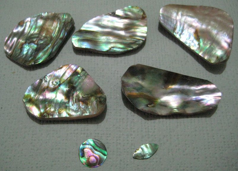 Natural Abalone Shell Cabochons